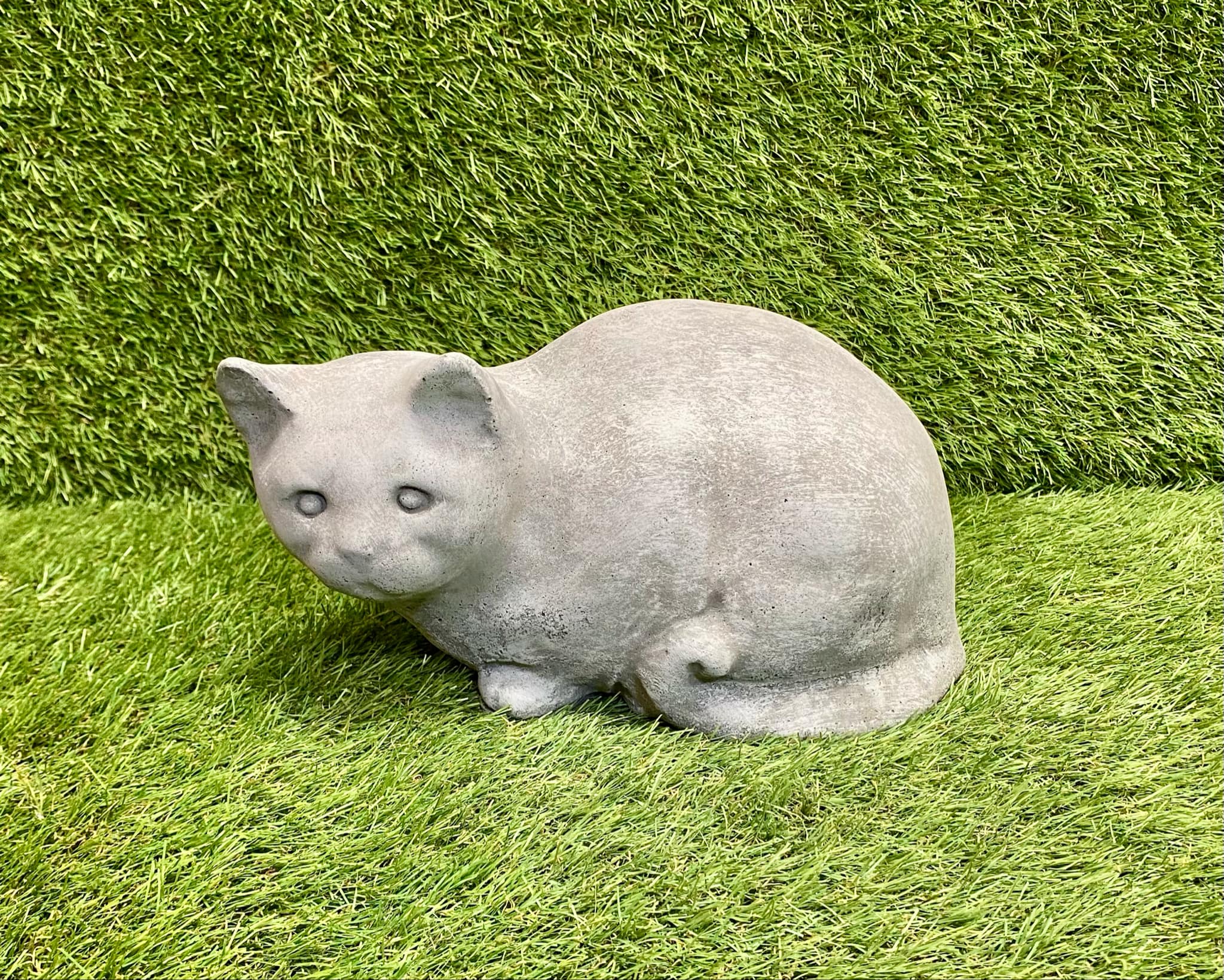 Sitting Cat