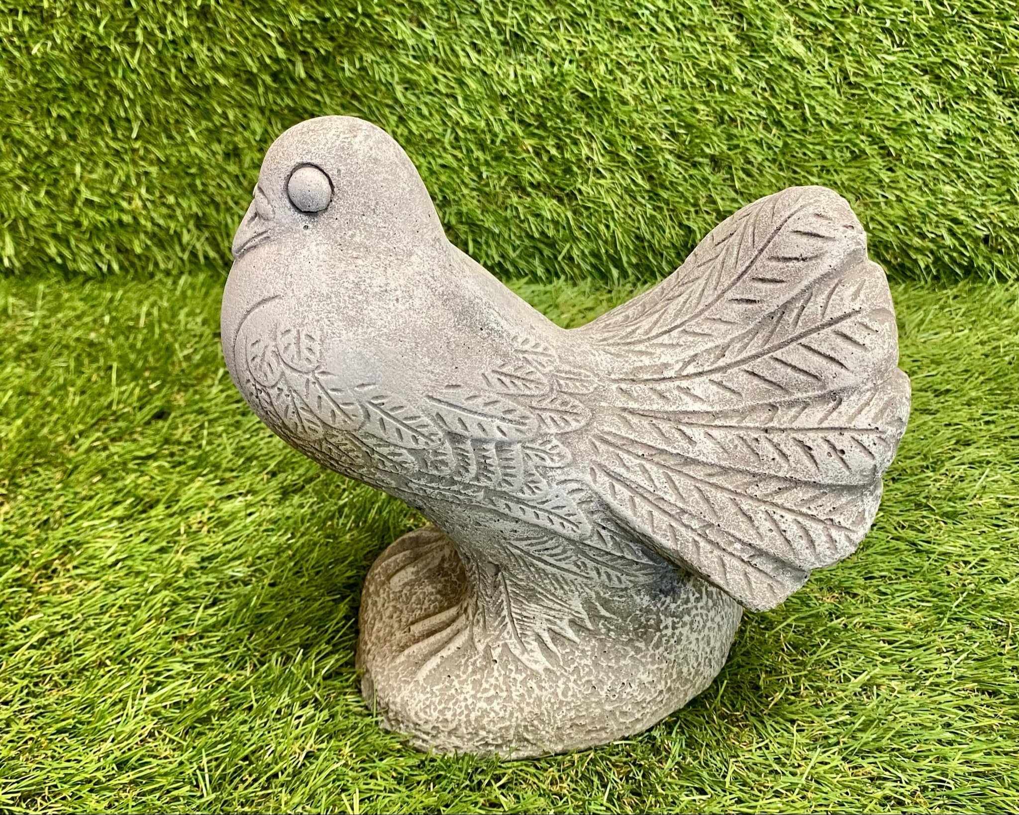 Dove