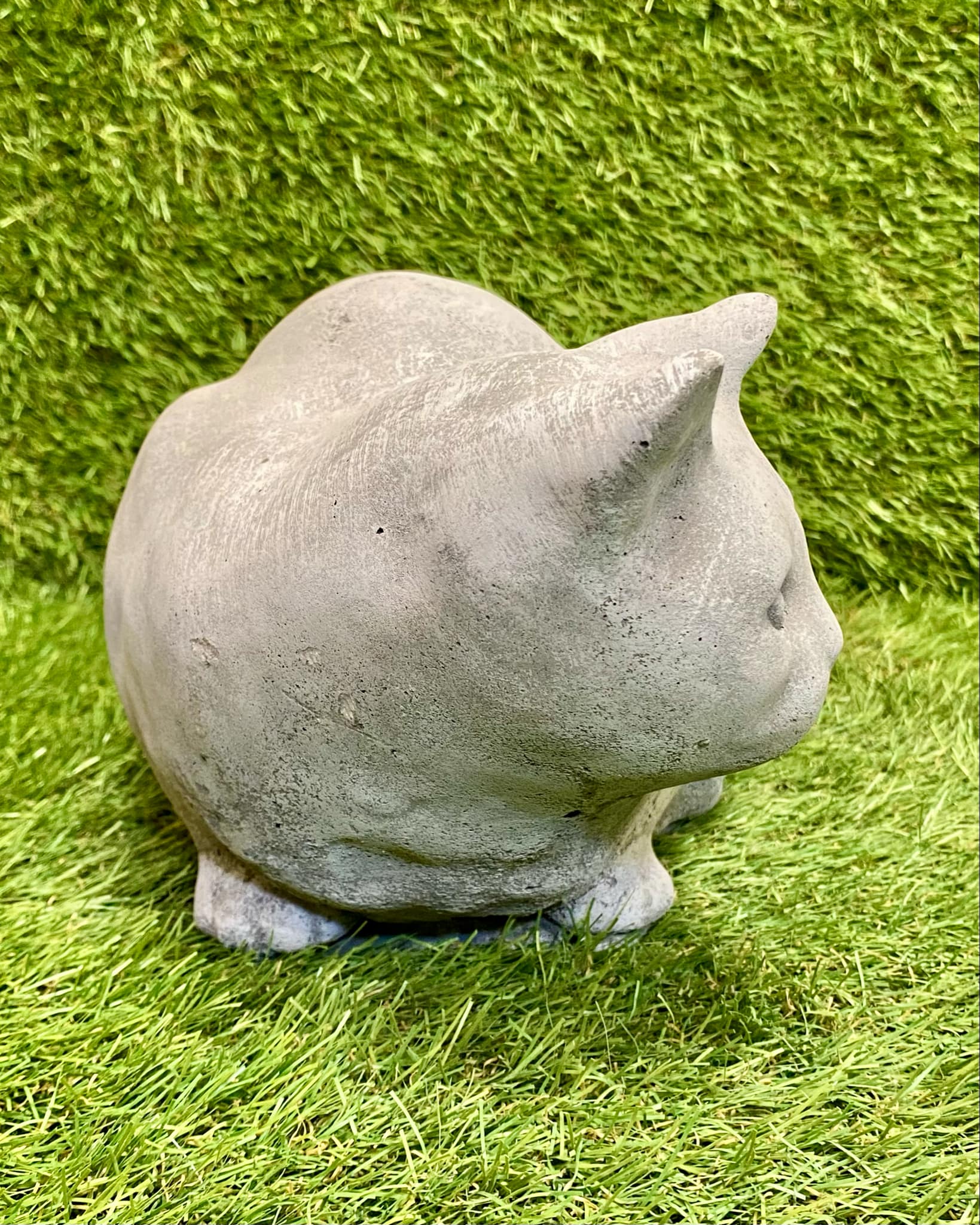 Sitting Cat
