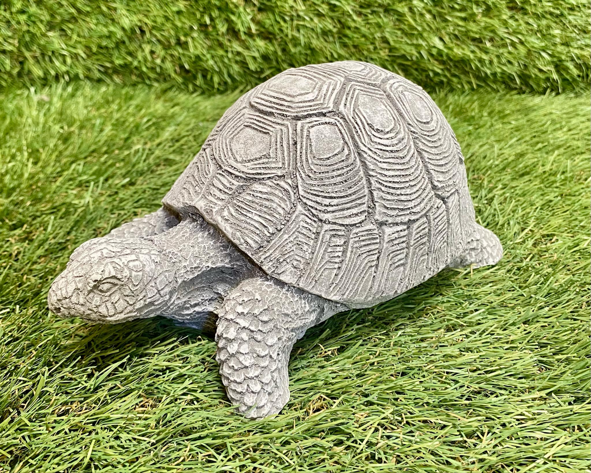 Tortoise