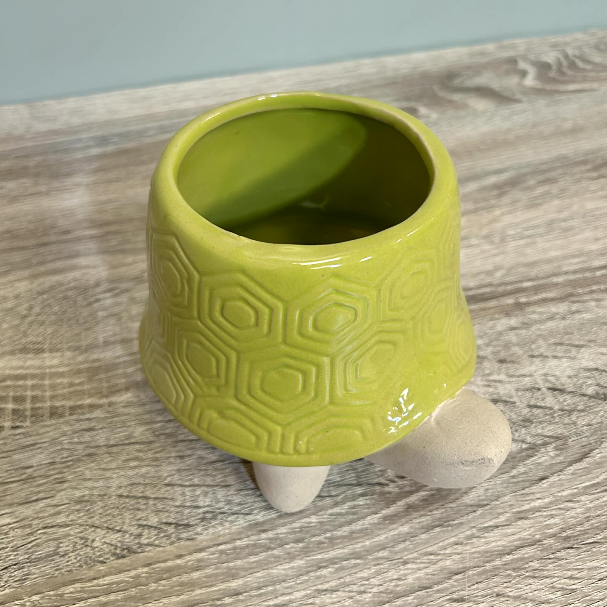 Ceramic Tortoise Planter