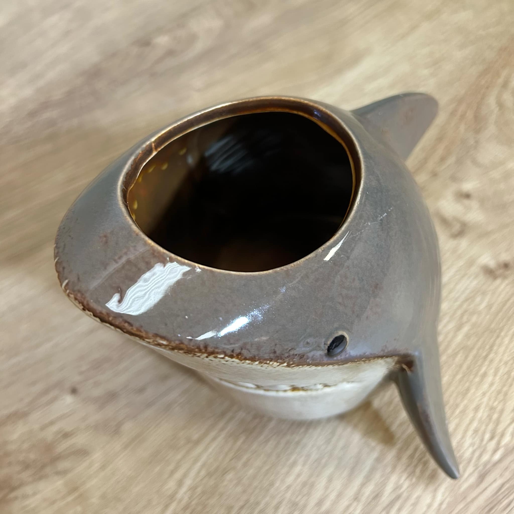 Shark Planter