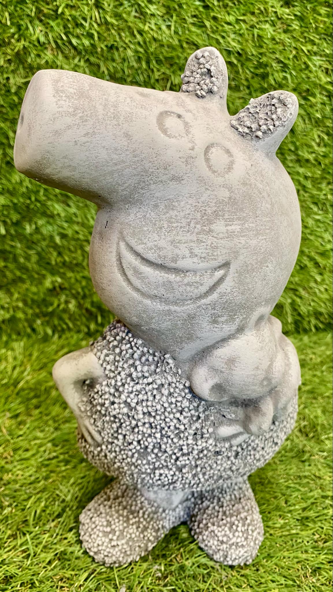 Cartoon Pig