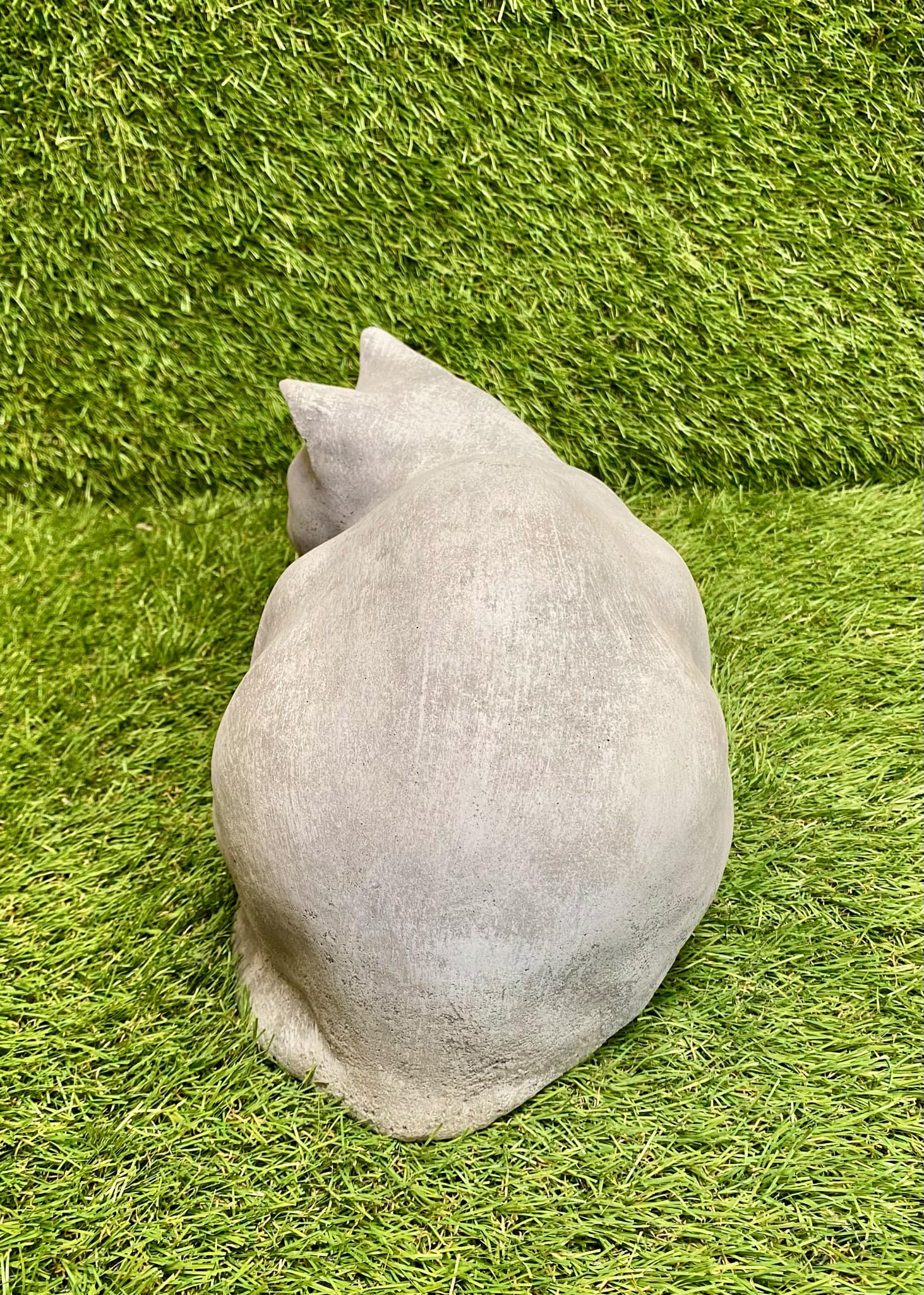 Sitting Cat