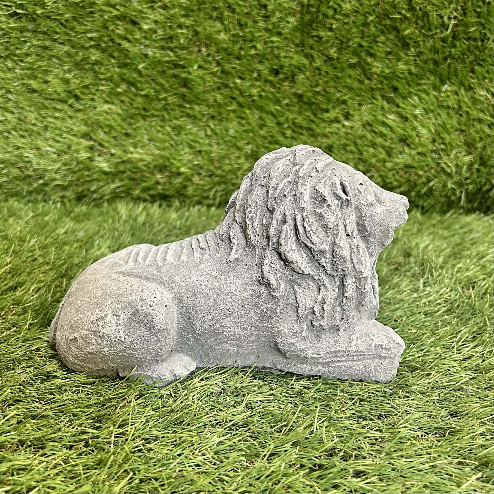 Small Lion
