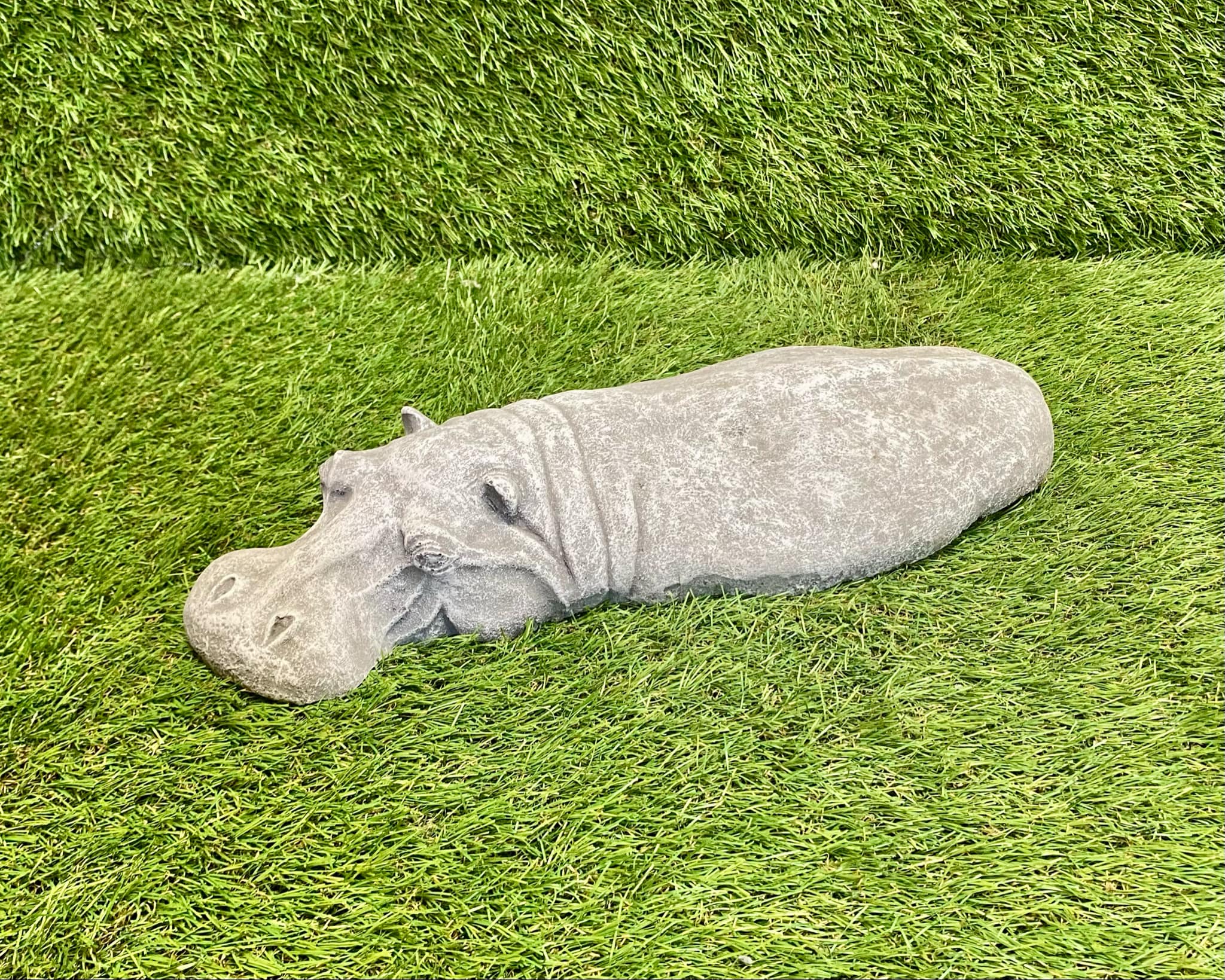 Submerged Hippo