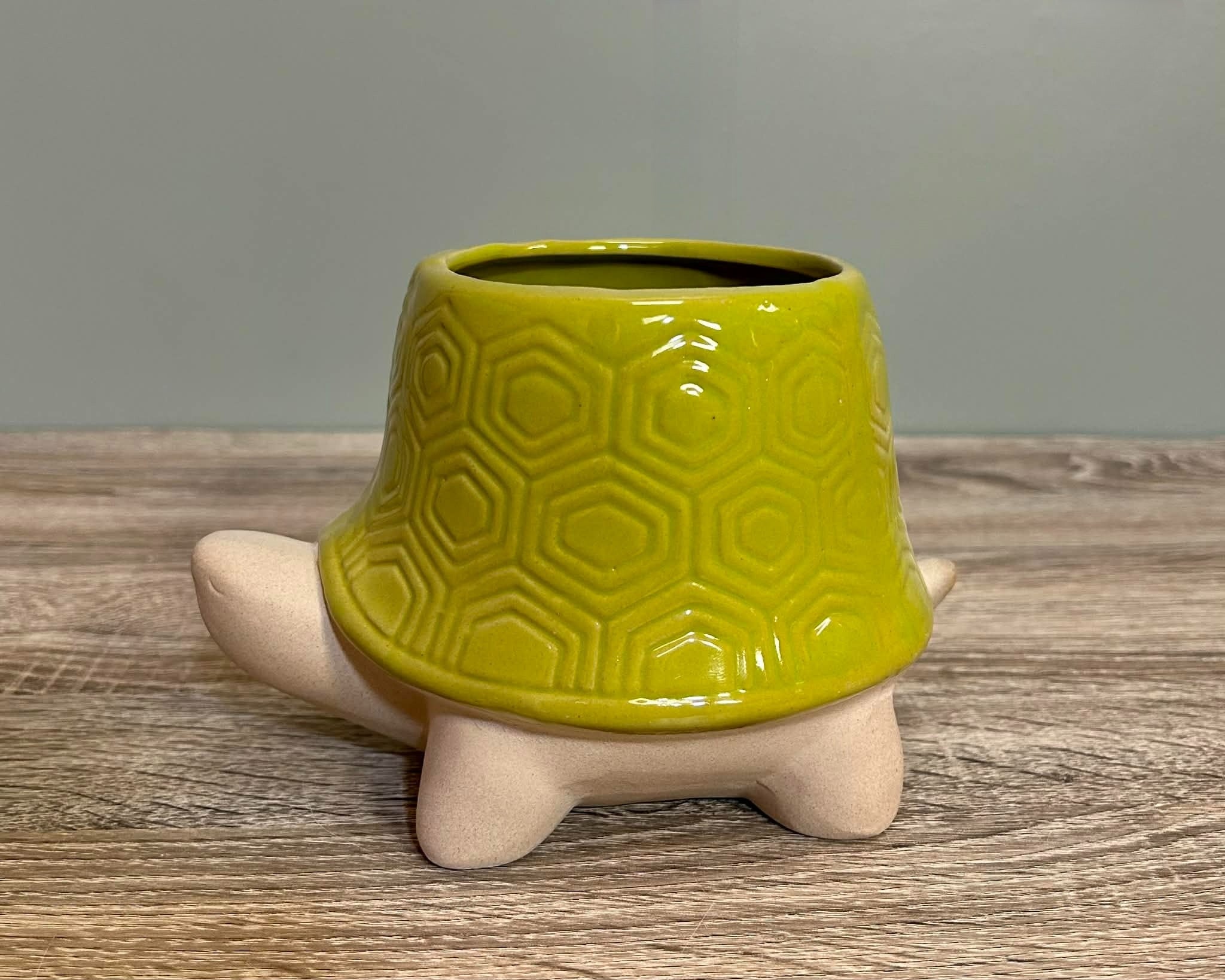 Ceramic Tortoise Planter