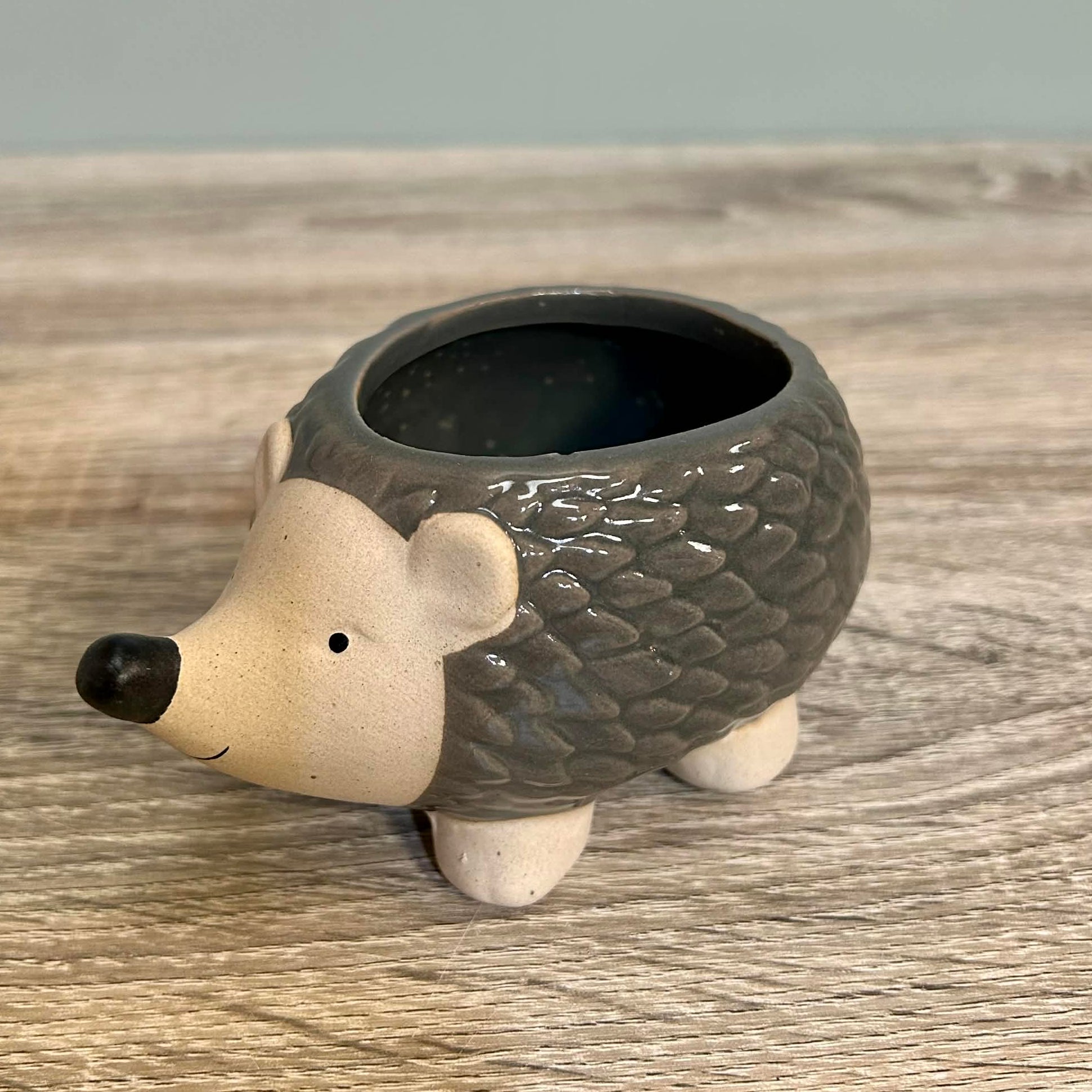 Ceramic Hedgehog Plant Pot