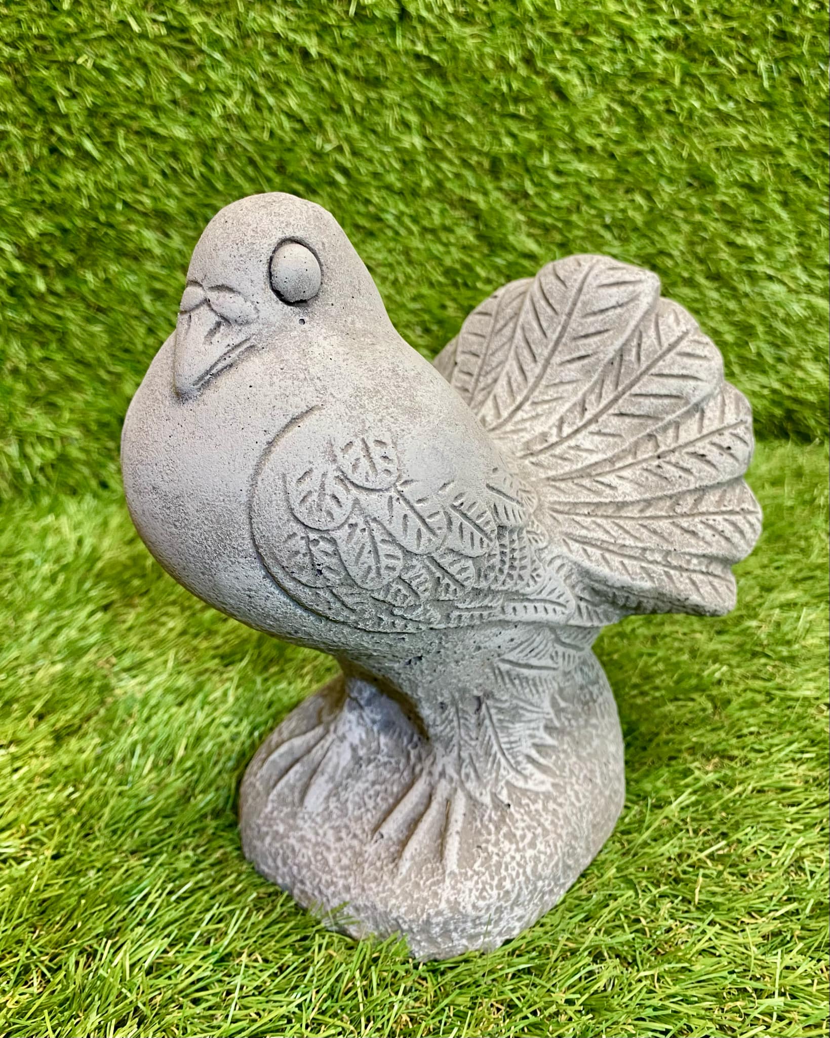 Dove