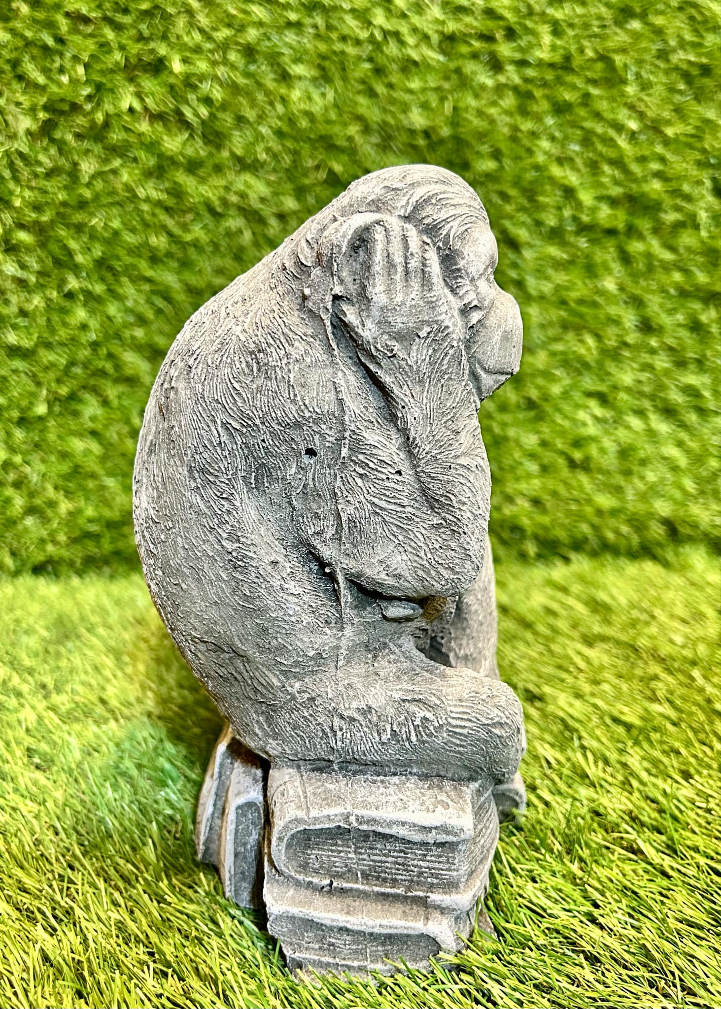 Monkeys (Hear, See, Speak No Evil) On A Book