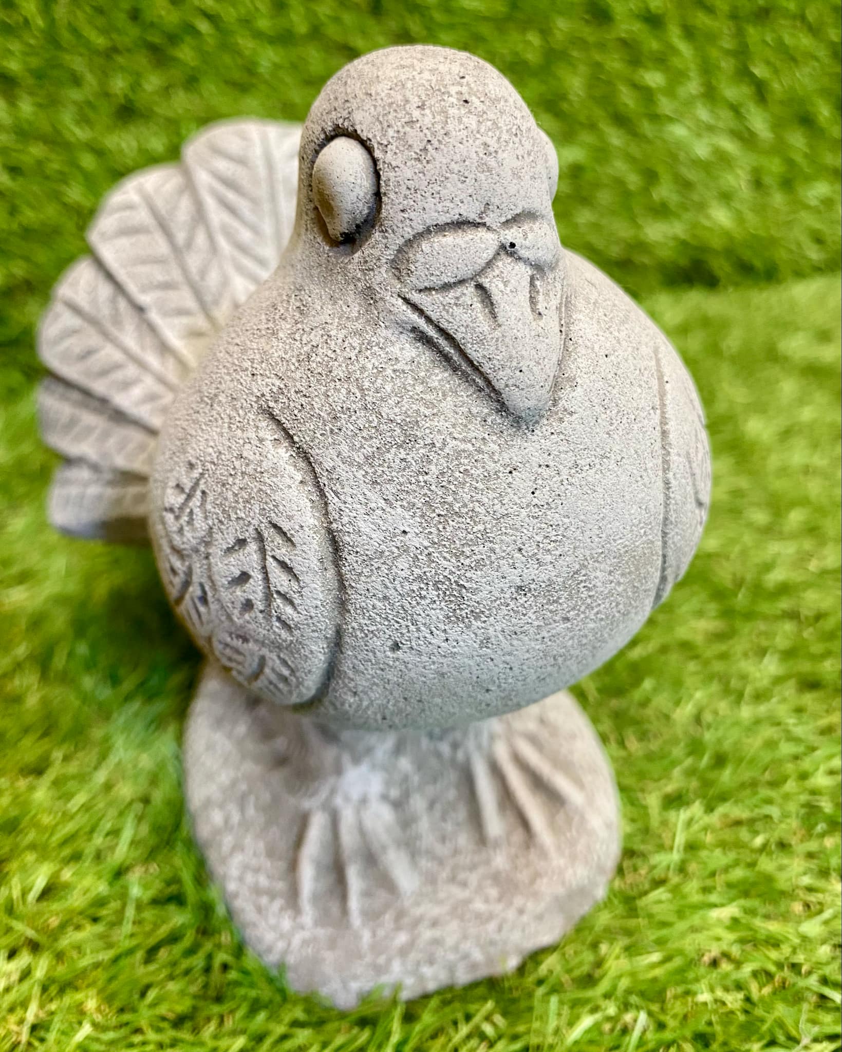 Dove