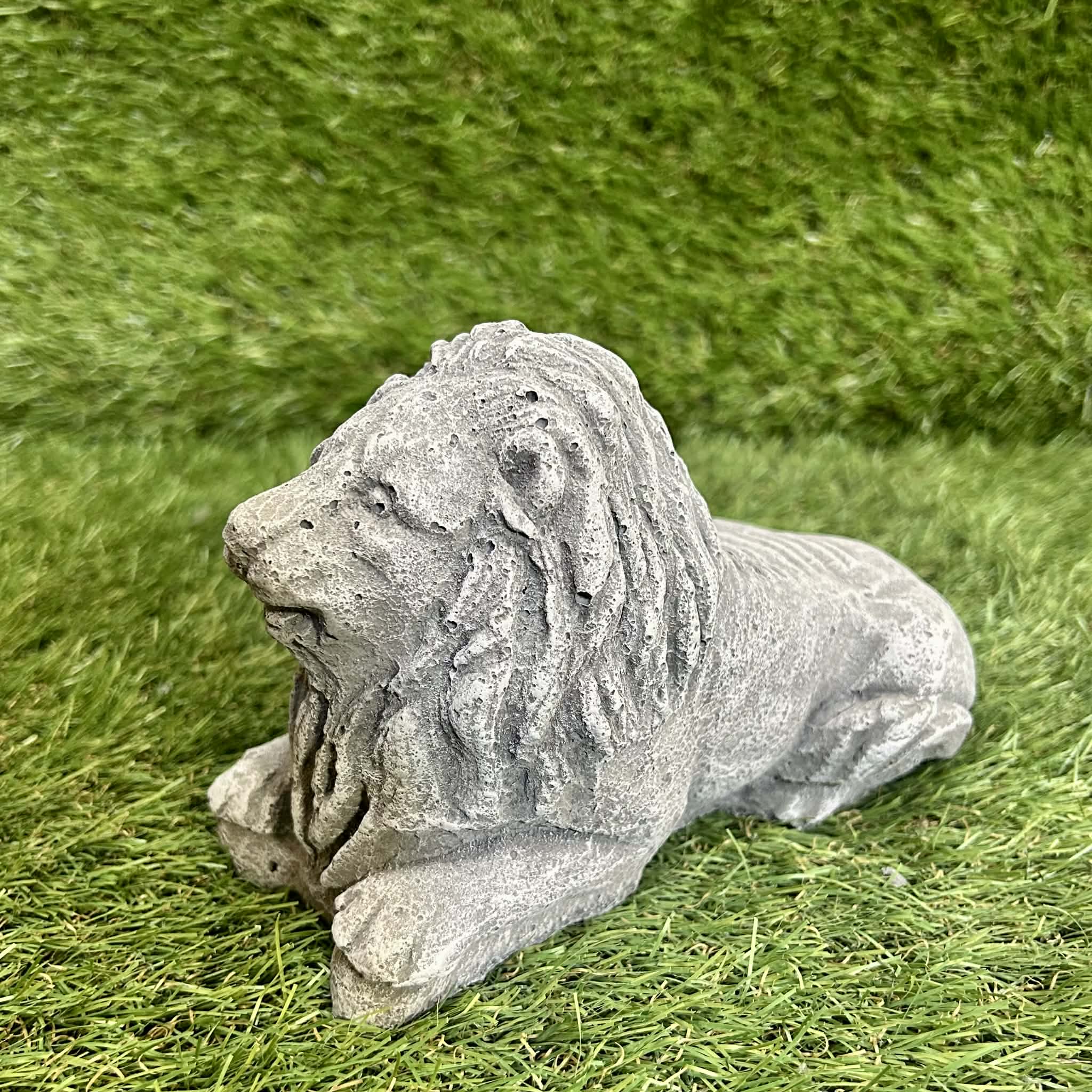 Small Lion