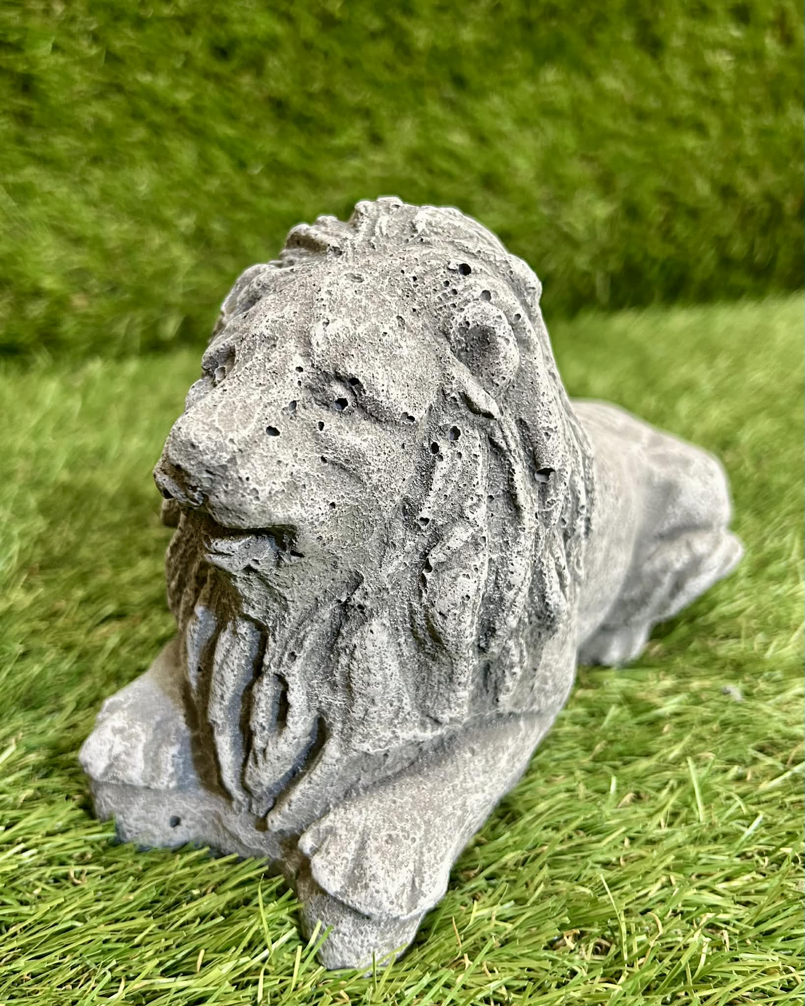 Small Lion