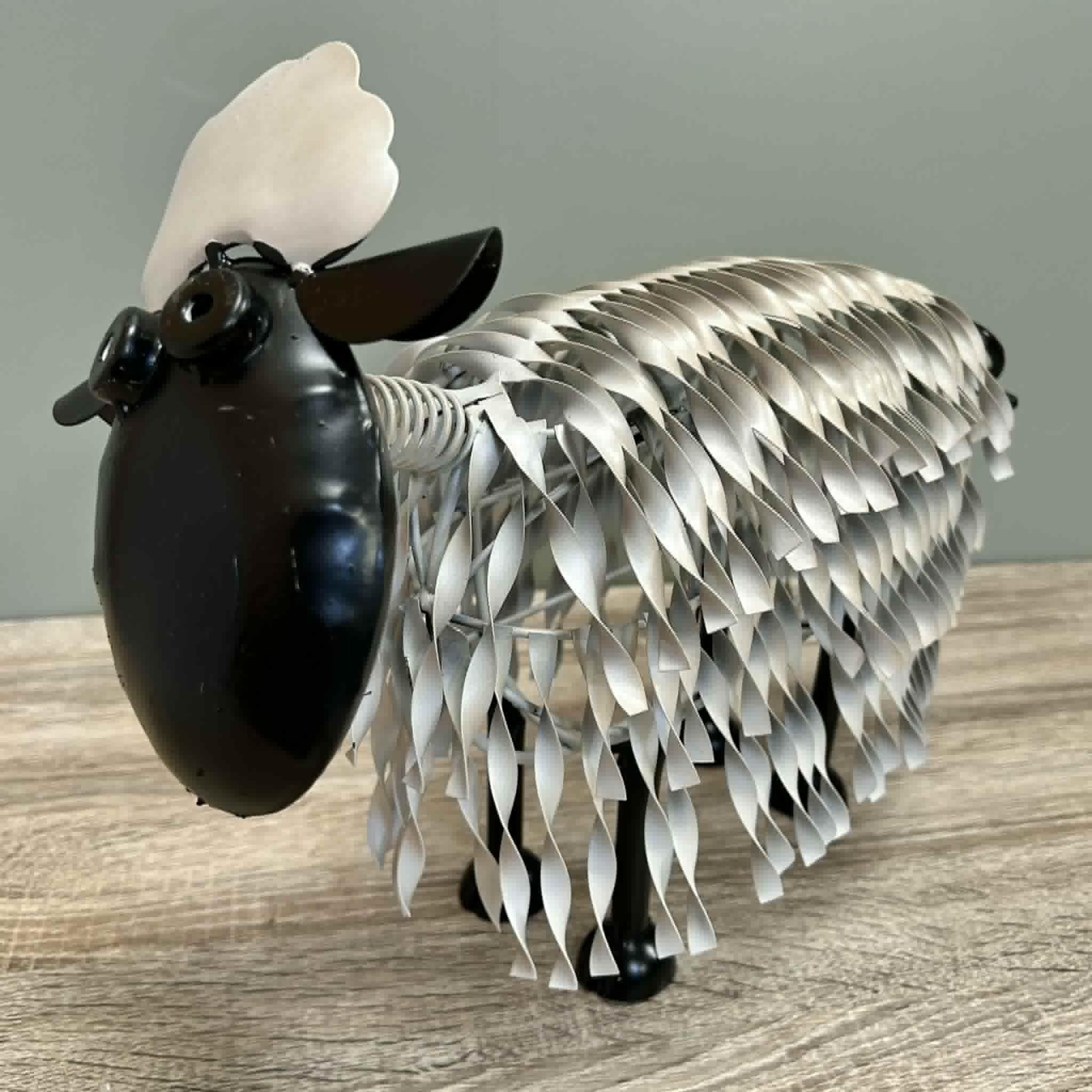 Sheep