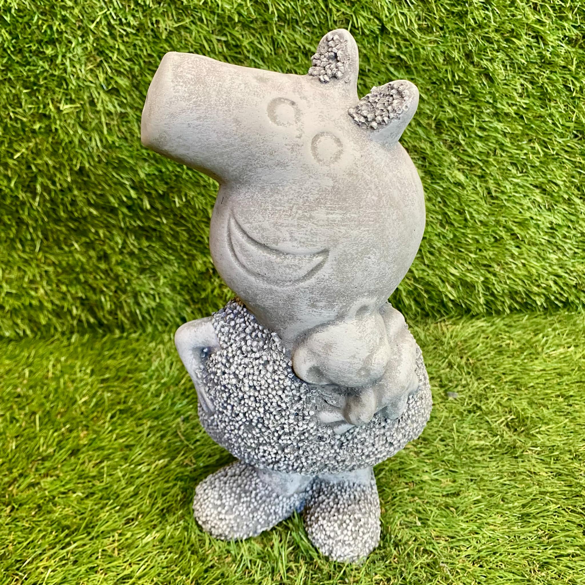 Cartoon Pig