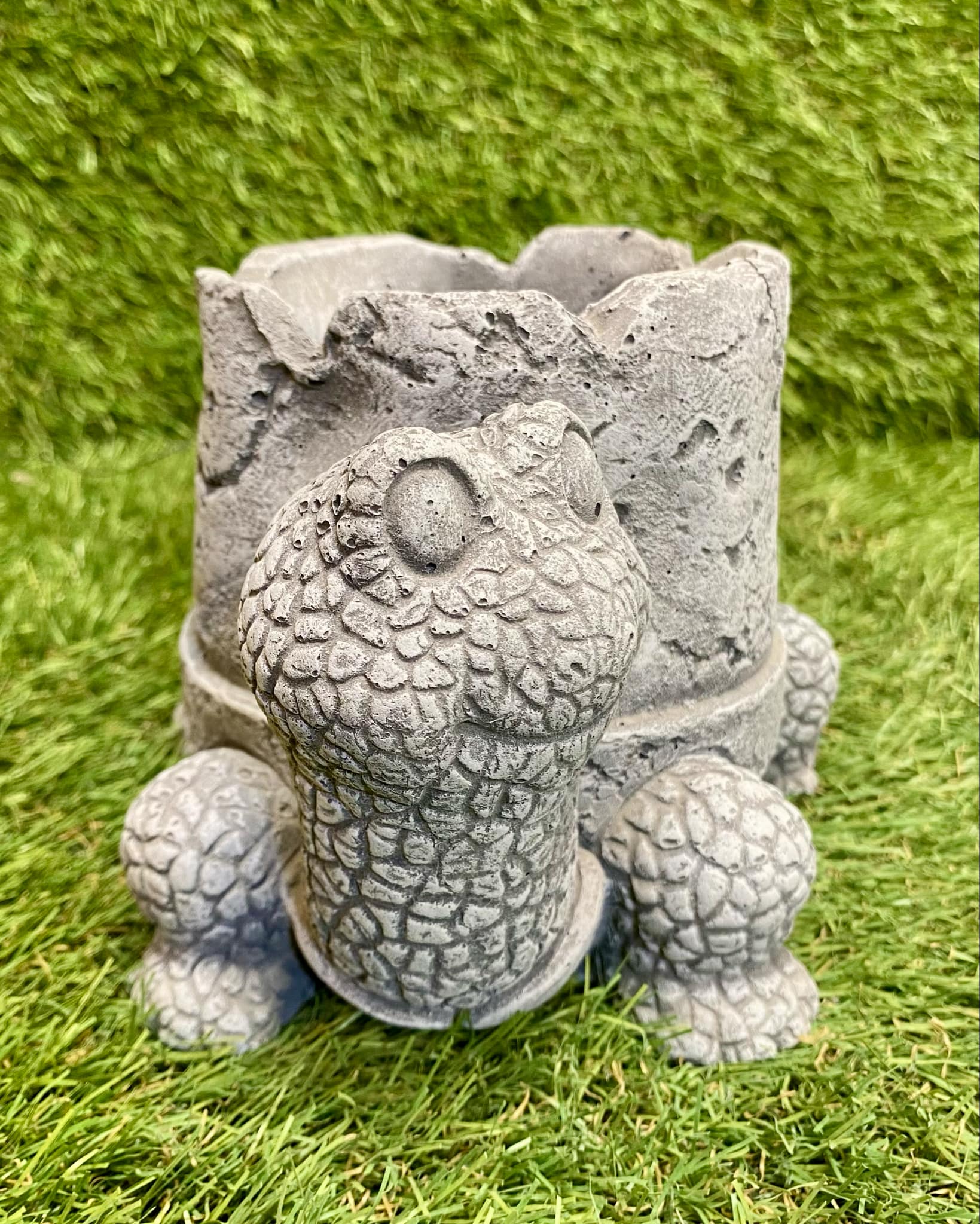 Tortoise Planter