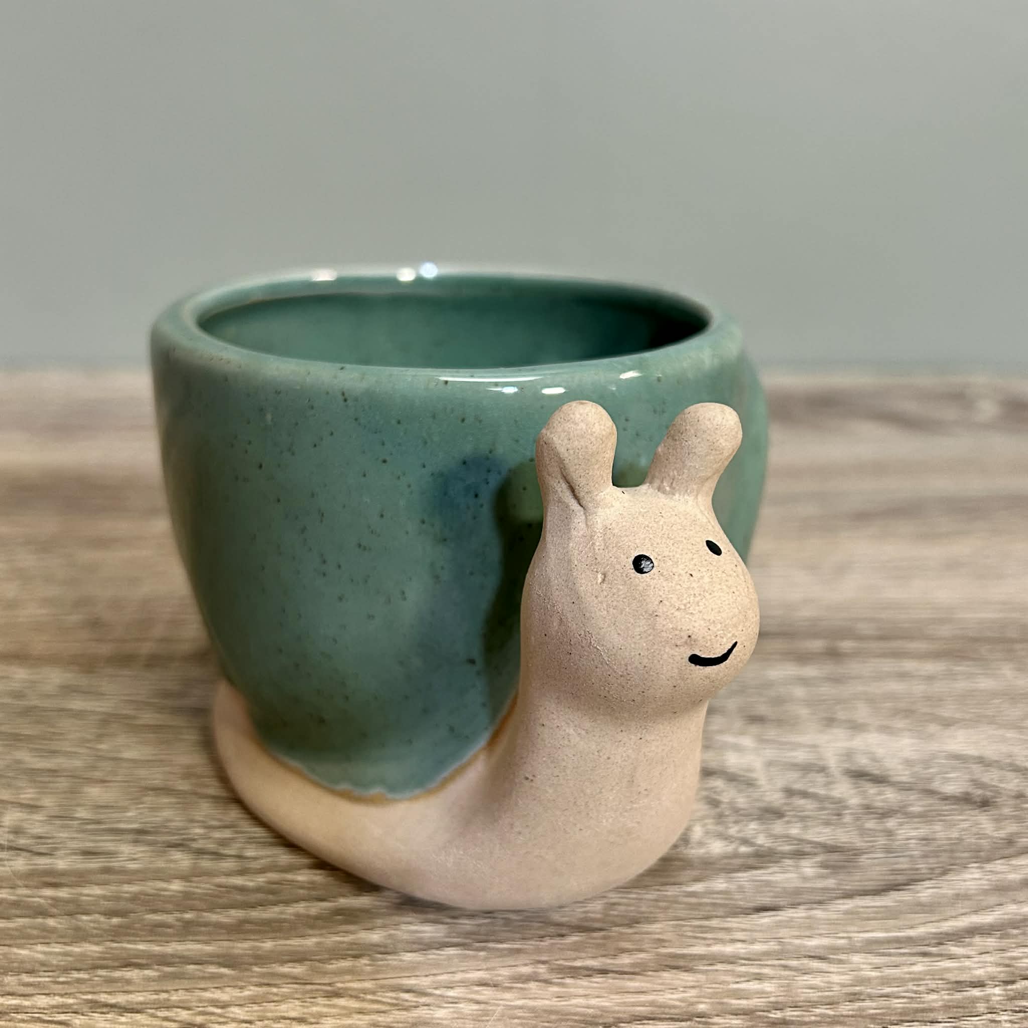 Ceramic Snail Planter