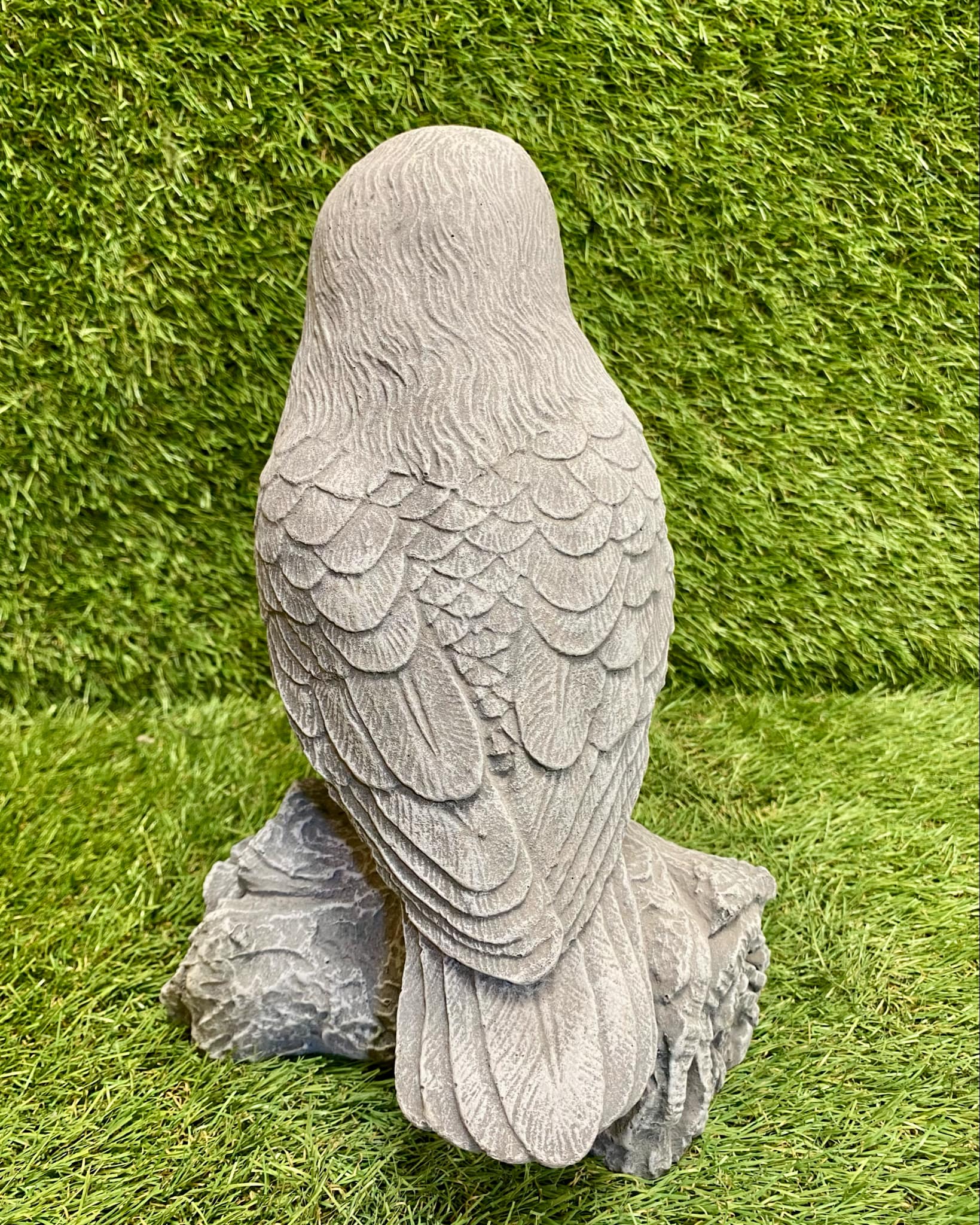 Owl On Log