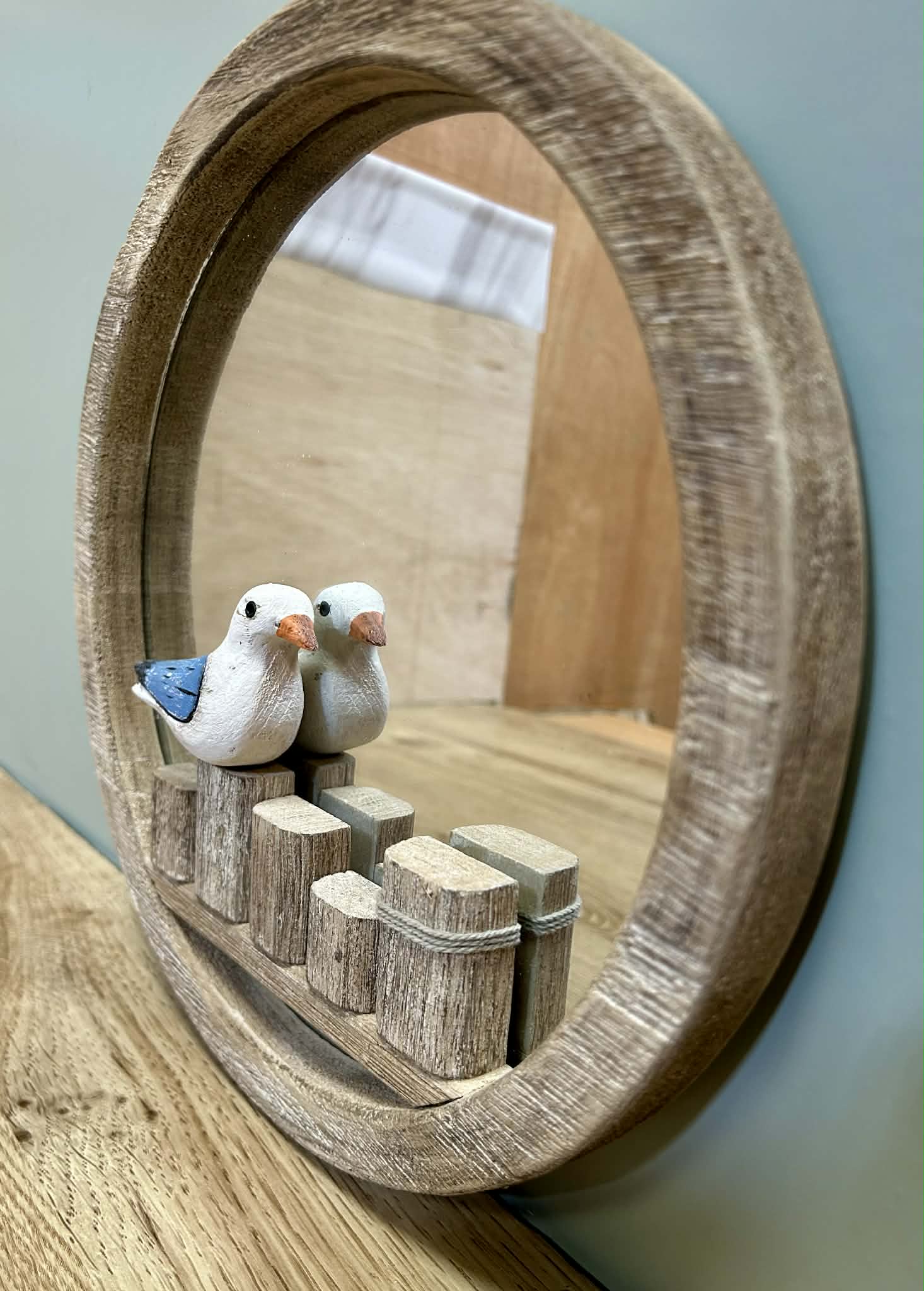 Seagull Mirror