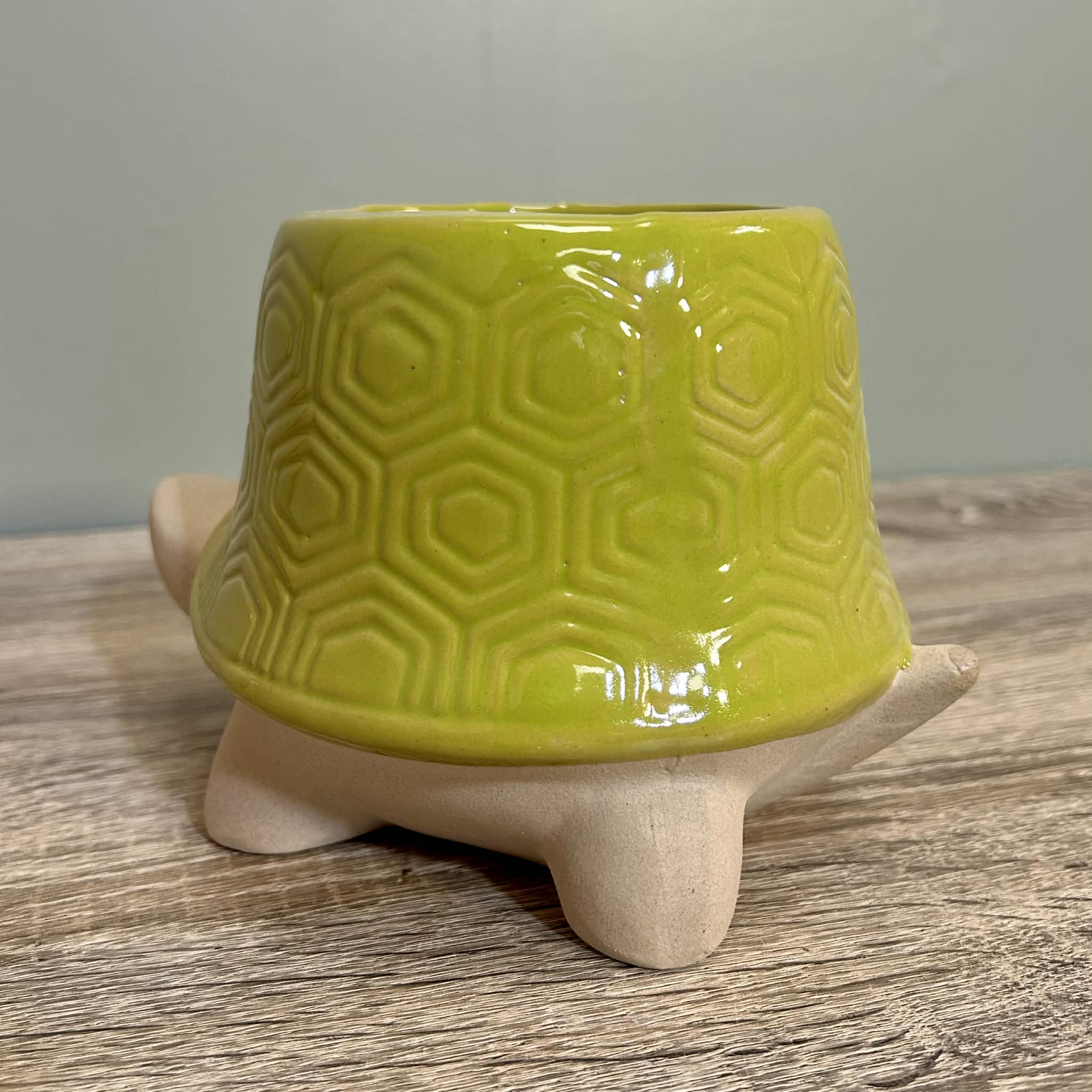 Ceramic Tortoise Planter