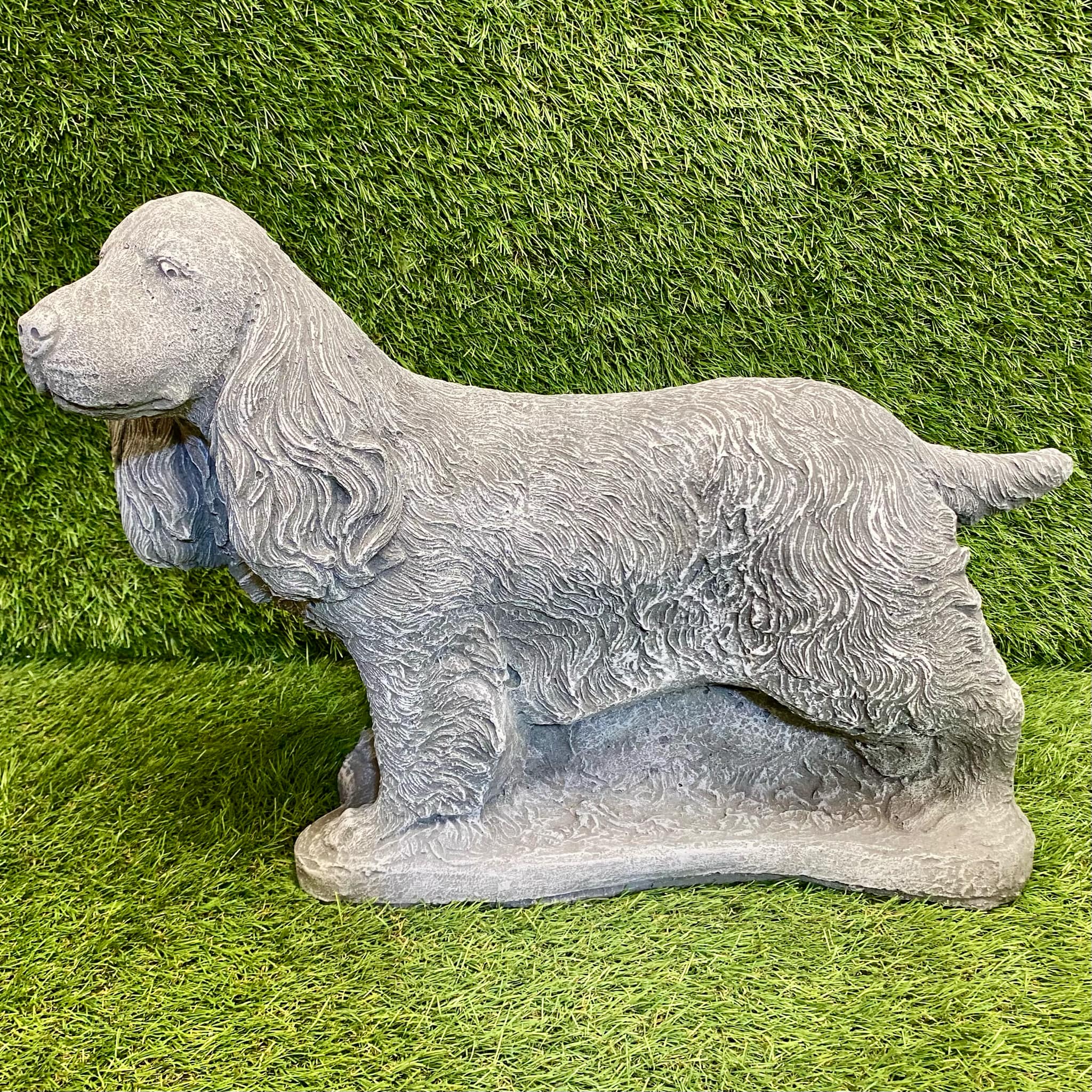 Large Spaniel Dog