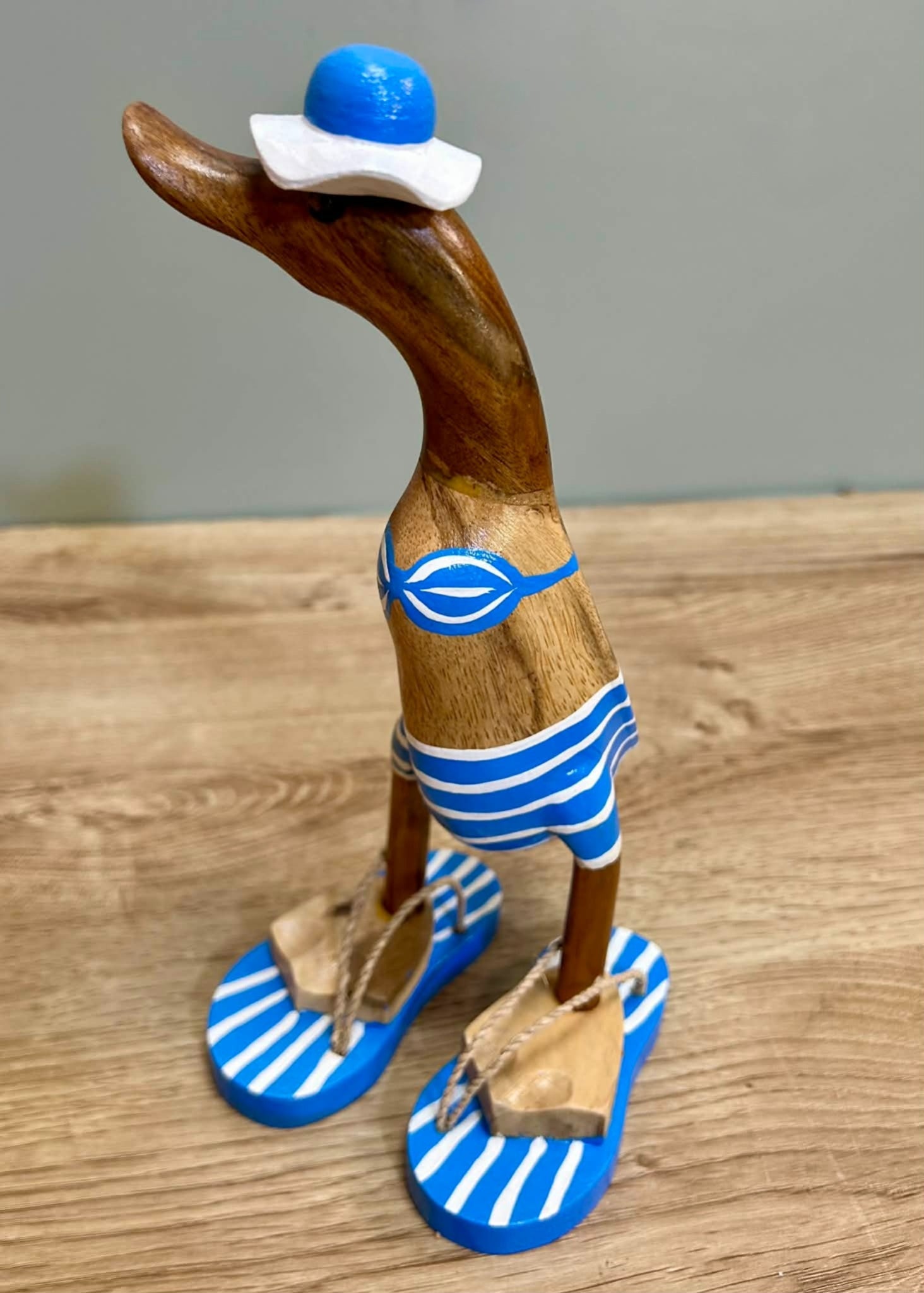 Wooden Ducks Bikinis
