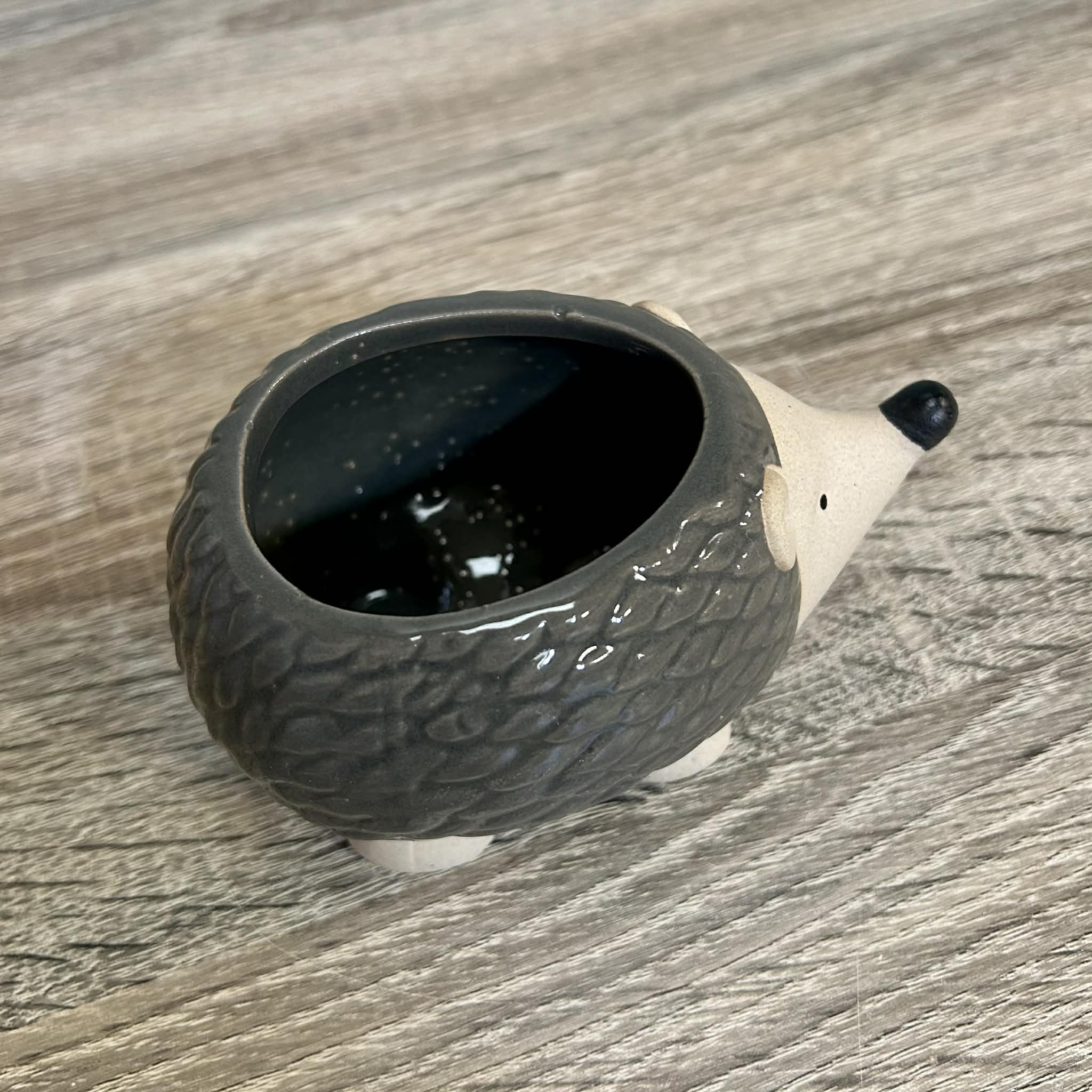 Ceramic Hedgehog Plant Pot