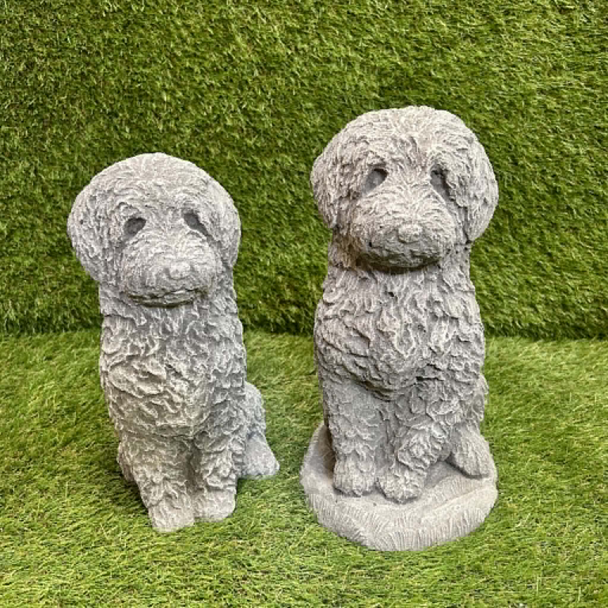 Cockapoo