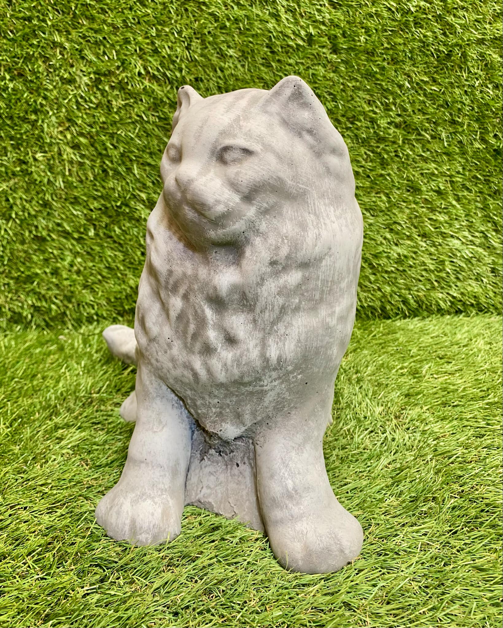 Large Persian Cat