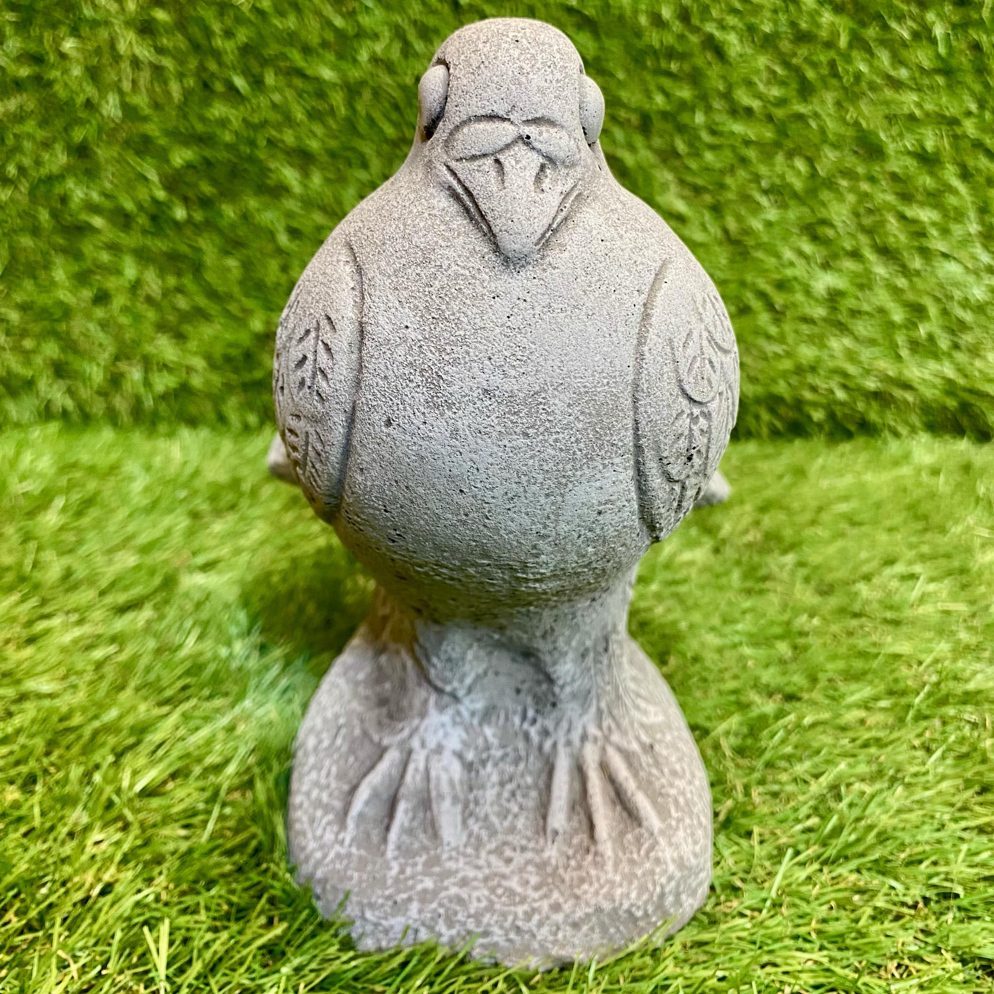 Dove