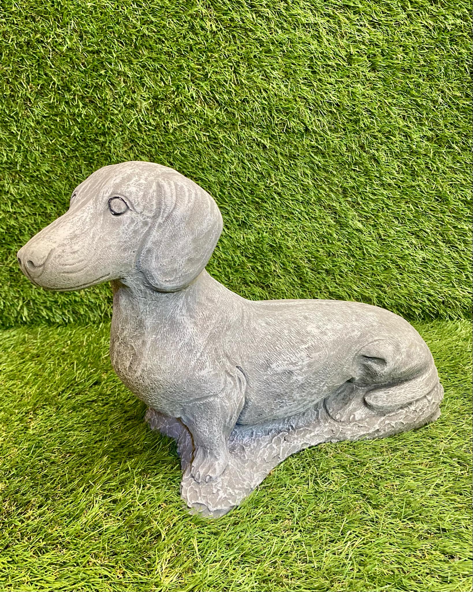 Sausage Dog