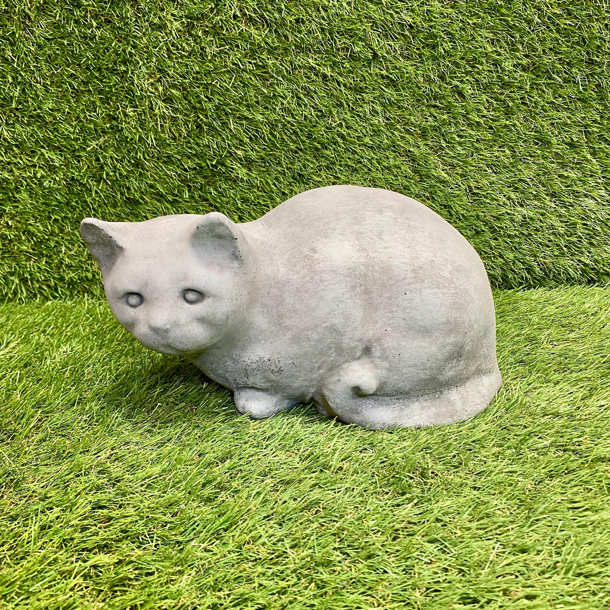 Sitting Cat