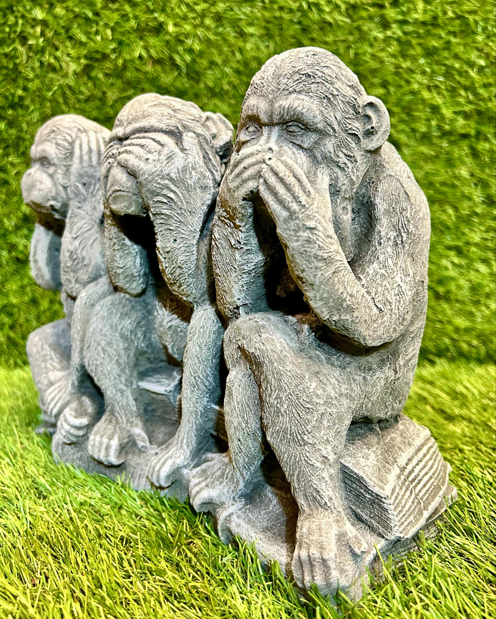 Monkeys (Hear, See, Speak No Evil) On A Book