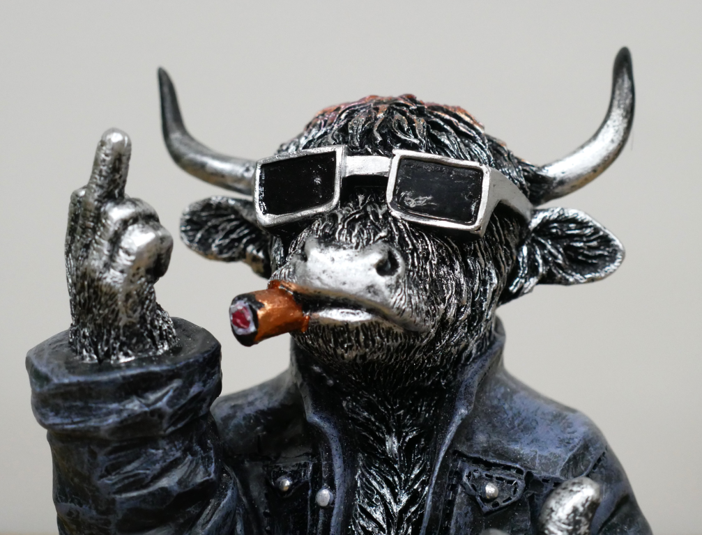 Naughty Middle Finger Highland Cow