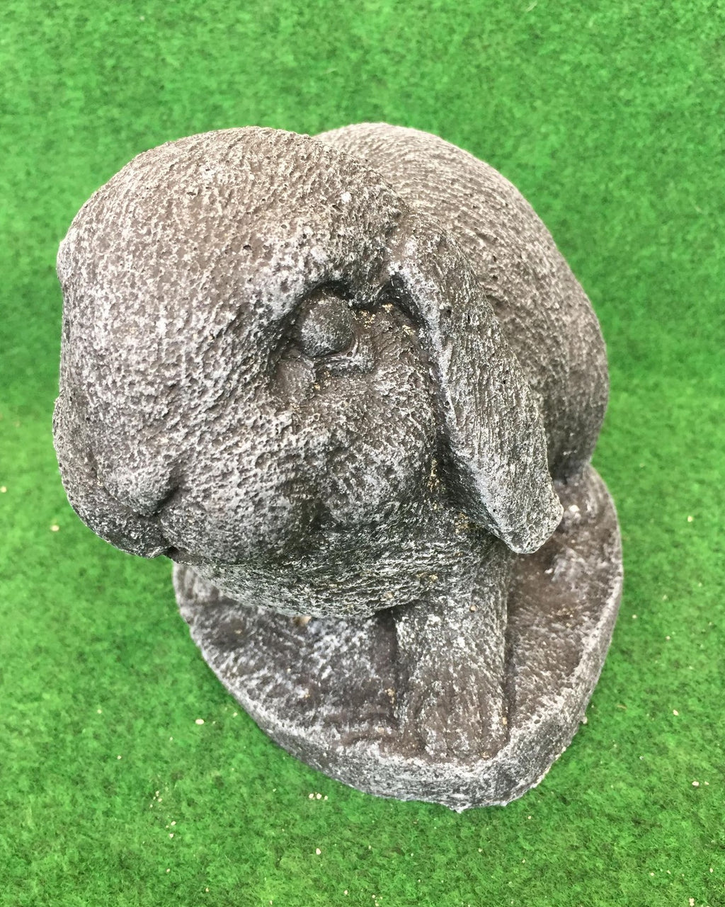 Large Rabbit