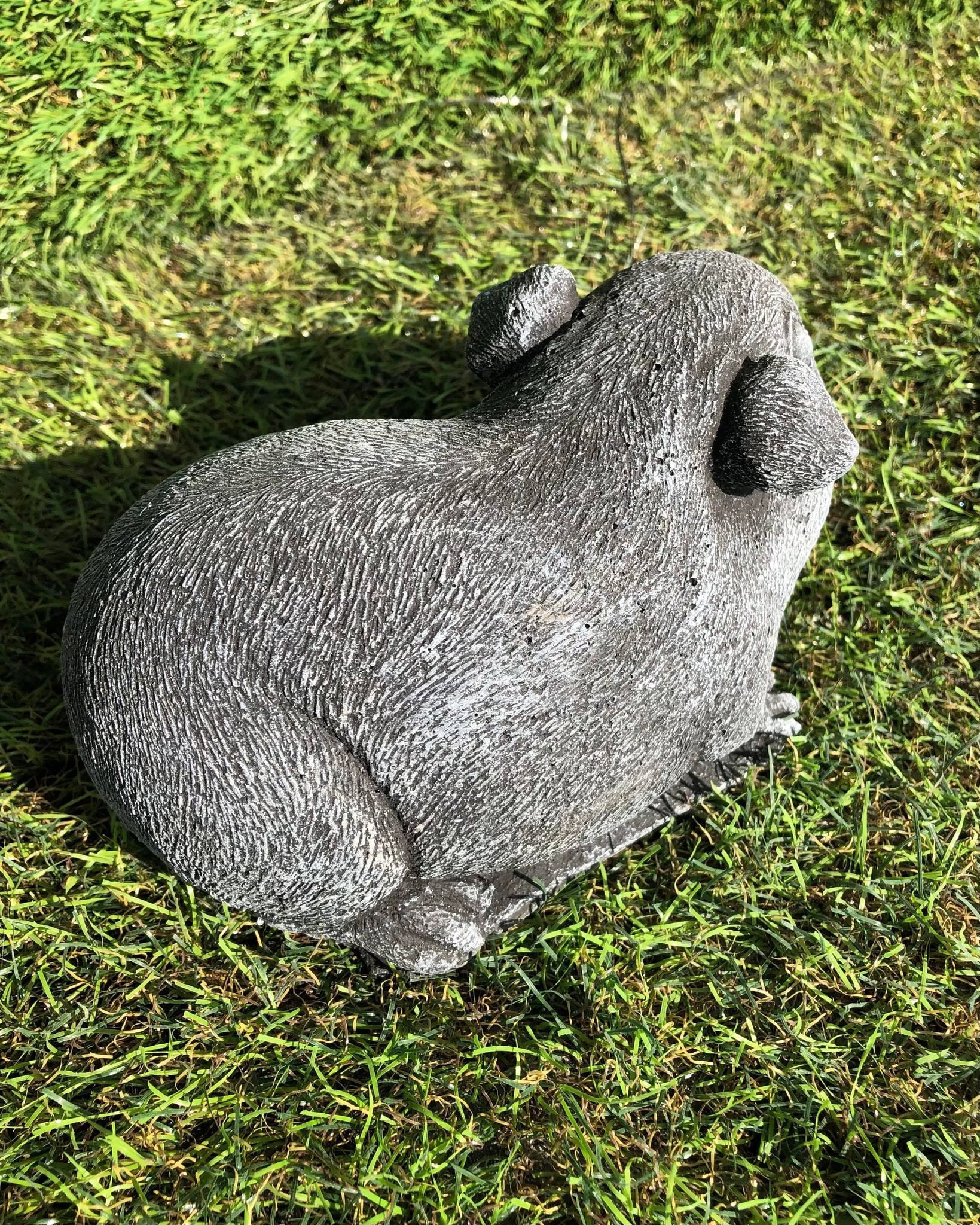Guinea Pig (Larger Size)